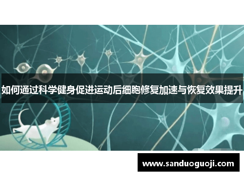 如何通过科学健身促进运动后细胞修复加速与恢复效果提升